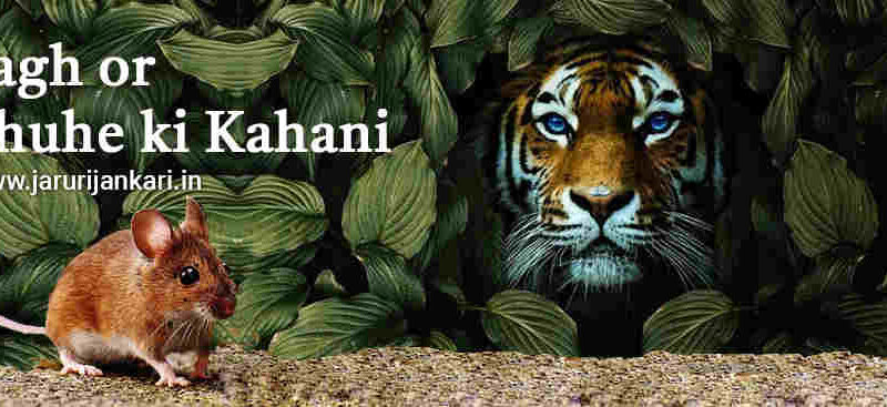 Bagh or Chuhe Ki Kahani